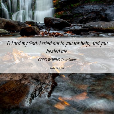 Picture 06 - Psalm 30:2 GW - O Lord my God, I cried out to you for help, and - Bible Verse Picture