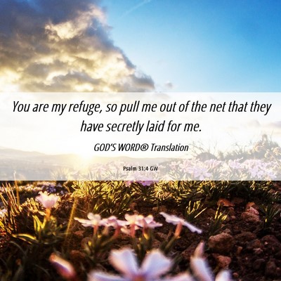 Picture 06 - Psalm 31:4 GW - You are my refuge, so pull me out of the net that - Bible Verse Picture