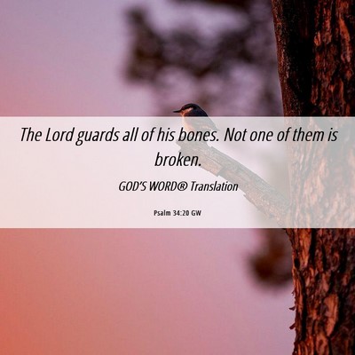 Picture 06 - Psalm 34:20 GW - The Lord guards all of his bones. Not one of them - Bible Verse Picture