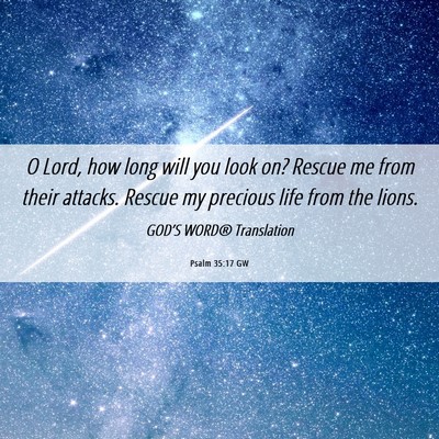 Picture 06 - Psalm 35:17 GW - O Lord, how long will you look on? Rescue me from - Bible Verse Picture