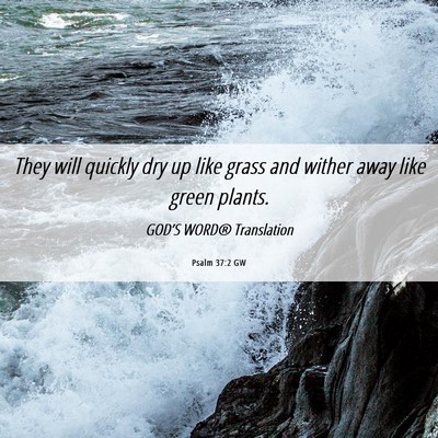 Picture 06 - Psalm 37:2 GW - They will quickly dry up like grass and wither - Bible Verse Picture