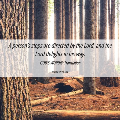 Picture 06 - Psalm 37:23 GW - A person’s steps are directed by the Lord, and - Bible Verse Picture
