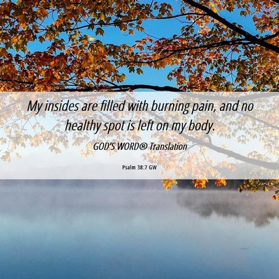 Picture 06 - Psalm 38:7 GW - My insides are filled with burning pain, and no - Bible Verse Picture