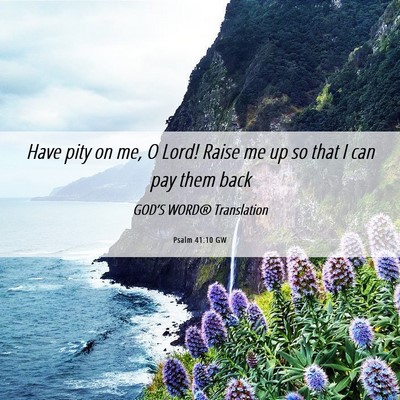 Picture 06 - Psalm 41:10 GW - Have pity on me, O Lord! Raise me up so that I - Bible Verse Picture
