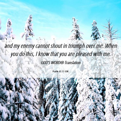 Picture 06 - Psalm 41:11 GW - and my enemy cannot shout in triumph over me. - Bible Verse Picture