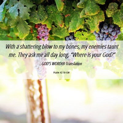 Picture 06 - Psalm 42:10 GW - With a shattering blow to my bones, my enemies - Bible Verse Picture