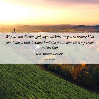 Picture 06 - Psalm 43:5 GW - Why are you discouraged, my soul? Why are you so - Bible Verse Picture