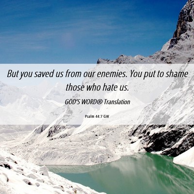 Picture 06 - Psalm 44:7 GW - But you saved us from our enemies. You put to - Bible Verse Picture