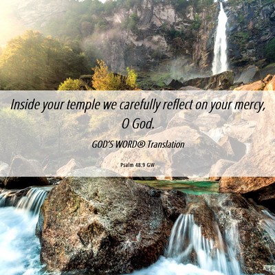 Picture 06 - Psalm 48:9 GW - Inside your temple we carefully reflect on your - Bible Verse Picture