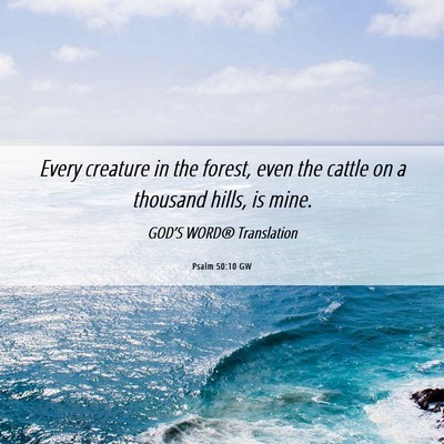 Picture 06 - Psalm 50:10 GW - Every creature in the forest, even the cattle on - Bible Verse Picture