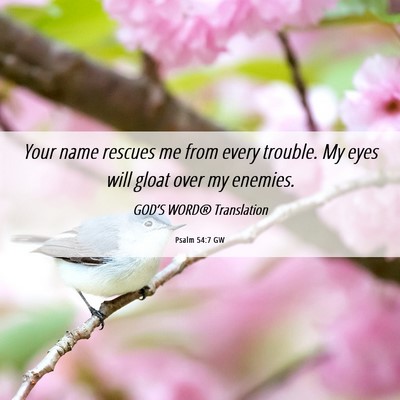 Picture 06 - Psalm 54:7 GW - Your name rescues me from every trouble. My eyes - Bible Verse Picture
