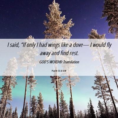 Picture 06 - Psalm 55:6 GW - I said, “If only I had wings like a dove— I - Bible Verse Picture
