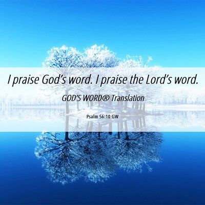 Picture 06 - Psalm 56:10 GW - I praise God’s word. I praise the Lord’s - Bible Verse Picture