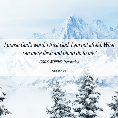 Picture 06 - Psalm 56:4 GW - I praise God’s word. I trust God. I am not - Bible Verse Picture