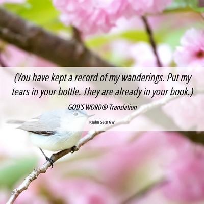 Picture 06 - Psalm 56:8 GW - (You have kept a record of my wanderings. Put my - Bible Verse Picture