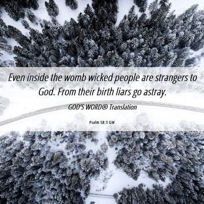 Picture 06 - Psalm 58:3 GW - Even inside the womb wicked people are strangers - Bible Verse Picture