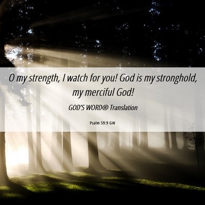 Picture 06 - Psalm 59:9 GW - O my strength, I watch for you! God is my - Bible Verse Picture