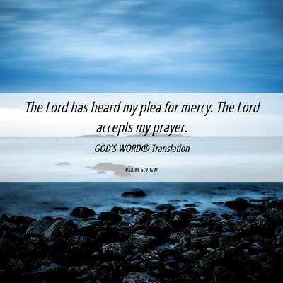 Picture 06 - Psalm 6:9 GW - The Lord has heard my plea for mercy. The Lord - Bible Verse Picture
