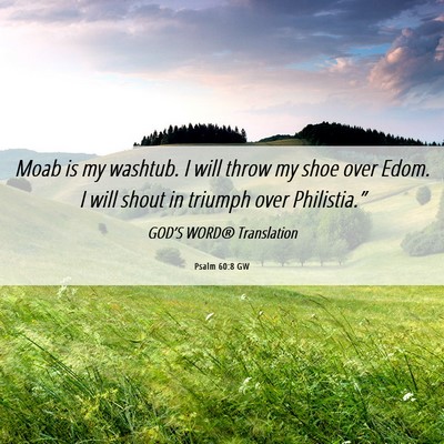 Picture 06 - Psalm 60:8 GW - Moab is my washtub. I will throw my shoe over - Bible Verse Picture