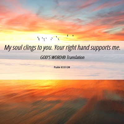 Picture 06 - Psalm 63:8 GW - My soul clings to you. Your right hand supports - Bible Verse Picture