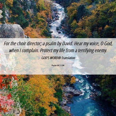 Picture 06 - Psalm 64:1 GW - For the choir director; a psalm by David. Hear my - Bible Verse Picture
