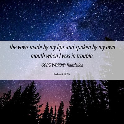 Picture 06 - Psalm 66:14 GW - the vows made by my lips and spoken by my own - Bible Verse Picture