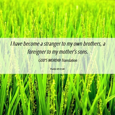 Picture 06 - Psalm 69:8 GW - I have become a stranger to my own brothers, a - Bible Verse Picture