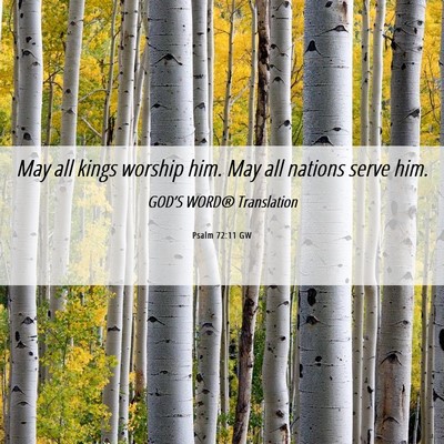 Picture 06 - Psalm 72:11 GW - May all kings worship him. May all nations serve - Bible Verse Picture