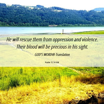 Picture 06 - Psalm 72:14 GW - He will rescue them from oppression and violence. - Bible Verse Picture