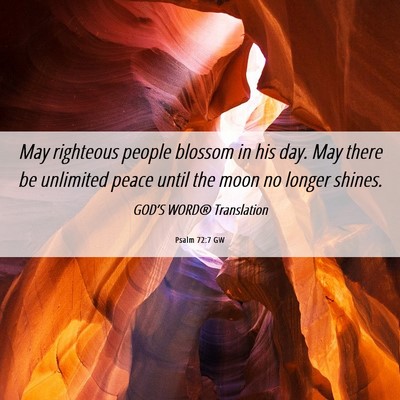 Picture 06 - Psalm 72:7 GW - May righteous people blossom in his day. May - Bible Verse Picture