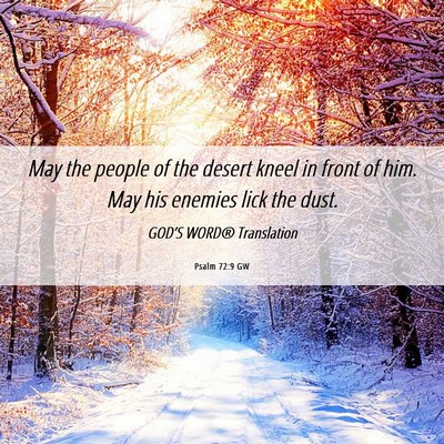 Picture 06 - Psalm 72:9 GW - May the people of the desert kneel in front of - Bible Verse Picture