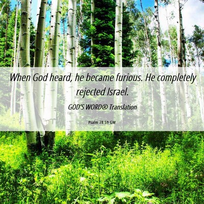 Picture 06 - Psalm 78:59 GW - When God heard, he became furious. He completely - Bible Verse Picture