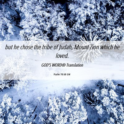 Picture 06 - Psalm 78:68 GW - but he chose the tribe of Judah, Mount Zion which - Bible Verse Picture