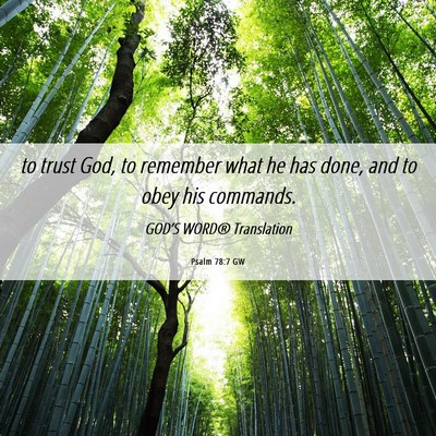 Picture 06 - Psalm 78:7 GW - to trust God, to remember what he has done, and - Bible Verse Picture
