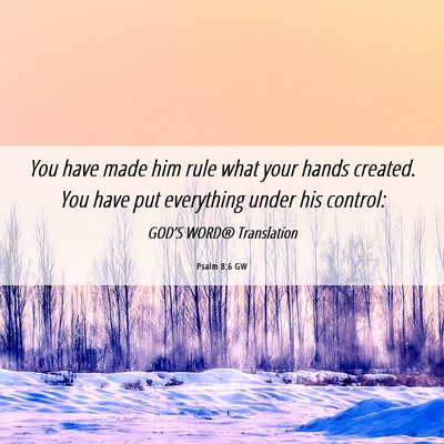 Picture 06 - Psalm 8:6 GW - You have made him rule what your hands created. - Bible Verse Picture