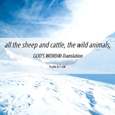 Picture 06 - Psalm 8:7 GW - all the sheep and cattle, the wild - Bible Verse Picture