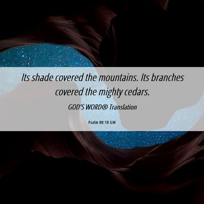 Picture 06 - Psalm 80:10 GW - Its shade covered the mountains. Its branches - Bible Verse Picture