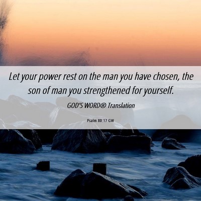 Picture 06 - Psalm 80:17 GW - Let your power rest on the man you have chosen, - Bible Verse Picture