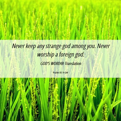 Picture 06 - Psalm 81:9 GW - Never keep any strange god among you. Never - Bible Verse Picture