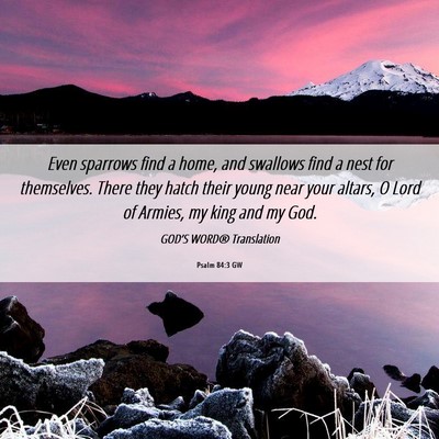 Picture 06 - Psalm 84:3 GW - Even sparrows find a home, and swallows find a - Bible Verse Picture