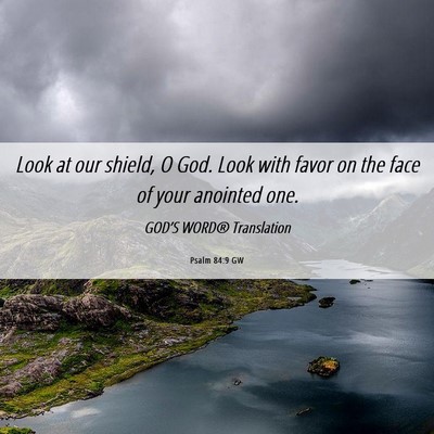 Picture 06 - Psalm 84:9 GW - Look at our shield, O God. Look with favor on the - Bible Verse Picture