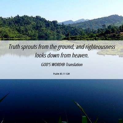 Picture 06 - Psalm 85:11 GW - Truth sprouts from the ground, and righteousness - Bible Verse Picture