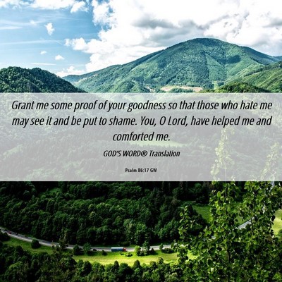 Picture 06 - Psalm 86:17 GW - Grant me some proof of your goodness so that - Bible Verse Picture