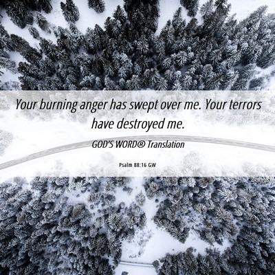 Picture 06 - Psalm 88:16 GW - Your burning anger has swept over me. Your - Bible Verse Picture
