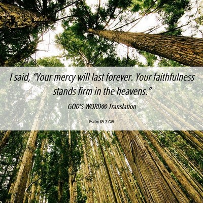 Picture 06 - Psalm 89:2 GW - I said, “Your mercy will last forever. Your - Bible Verse Picture