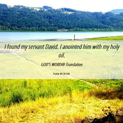 Picture 06 - Psalm 89:20 GW - I found my servant David. I anointed him with my - Bible Verse Picture