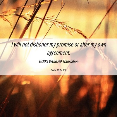 Picture 06 - Psalm 89:34 GW - I will not dishonor my promise or alter my own - Bible Verse Picture