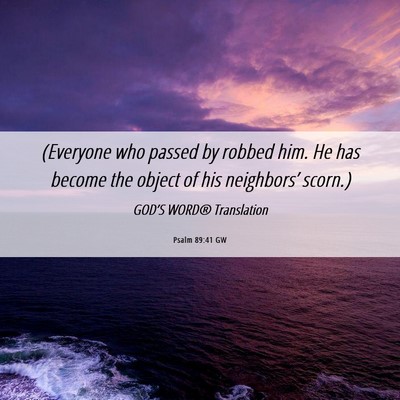 Picture 06 - Psalm 89:41 GW - (Everyone who passed by robbed him. He has become - Bible Verse Picture