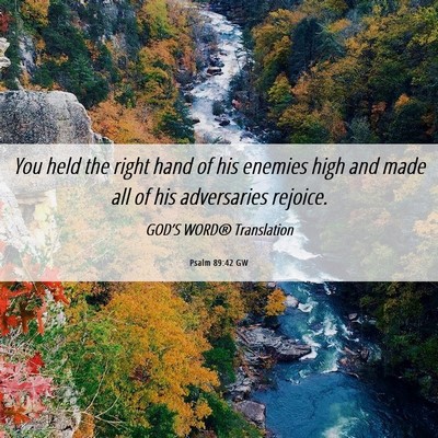 Picture 06 - Psalm 89:42 GW - You held the right hand of his enemies high and - Bible Verse Picture