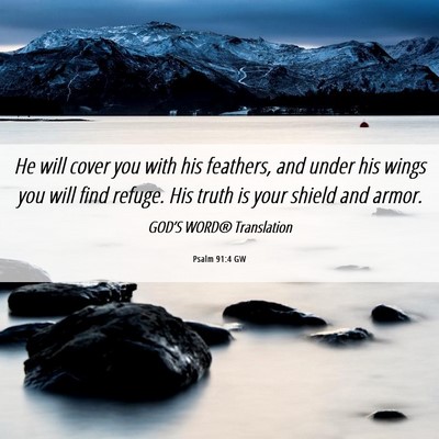 Picture 06 - Psalm 91:4 GW - He will cover you with his feathers, and under - Bible Verse Picture